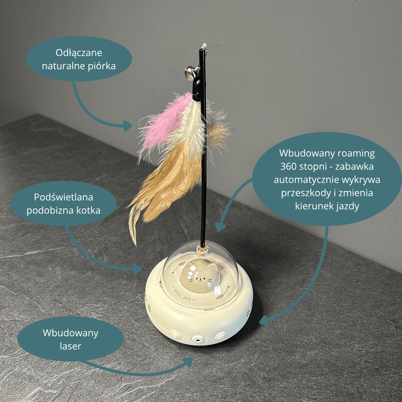 Najważniejsze cechy